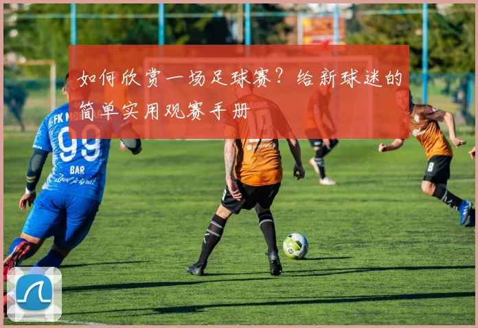 如何欣赏一场足球赛?给新球迷的简单实用观赛手册
