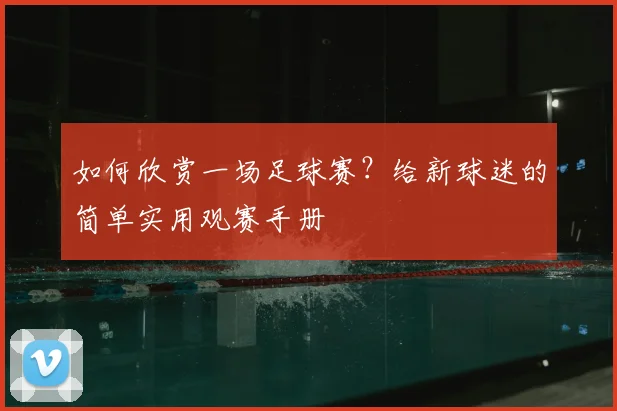 如何欣赏一场足球赛？给新球迷的简单实用观赛手册